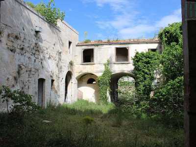 Attraversiamo dunque il varco pi� importante approdando nel cortile. Anche qui la vegetazione spontanea ha preso nettamente il sopravvento... 